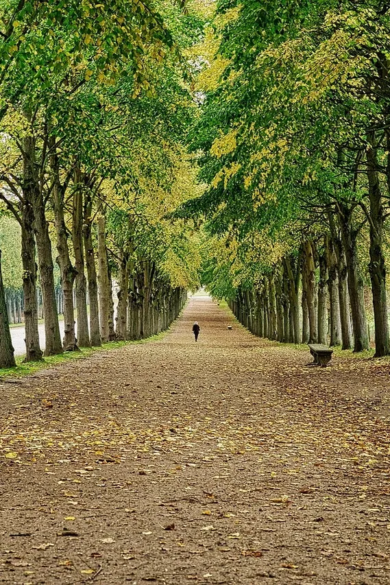 Versaille