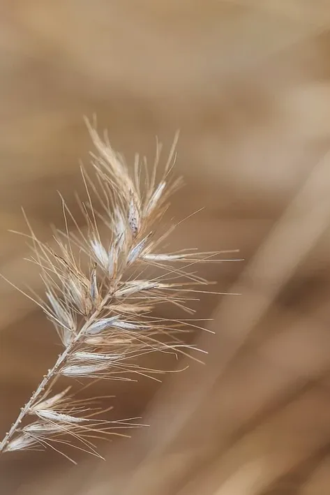 Frozen wind