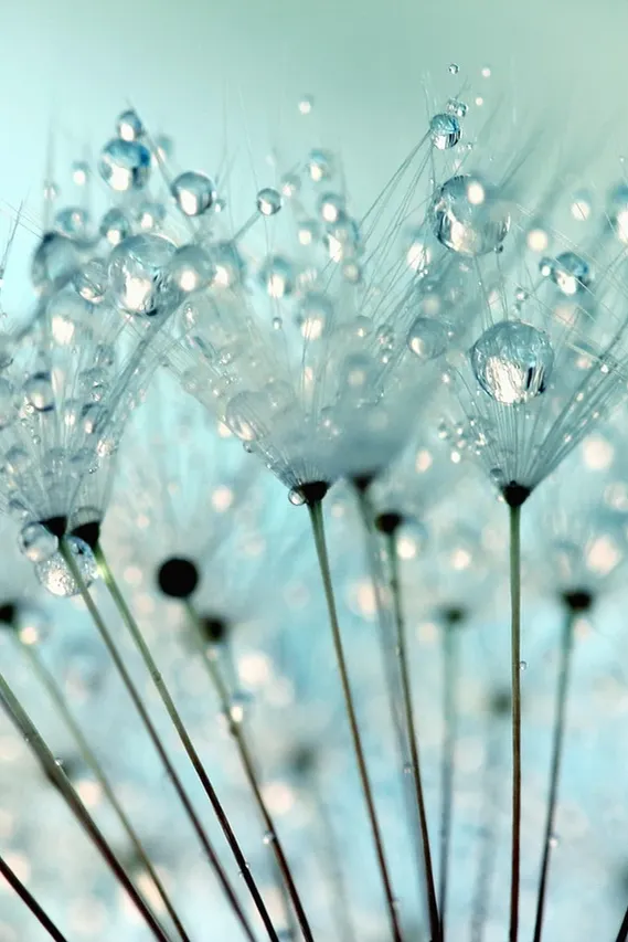 Sparkle