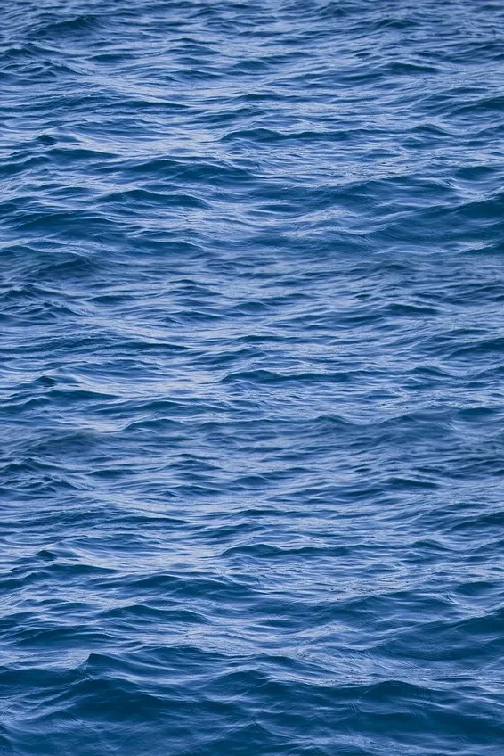 velvet wave